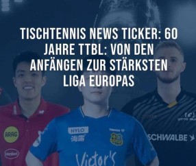 德甲60周年海报，樊振东站C位，排面超欧洲传奇！王励勤一句话，小胖归队有望