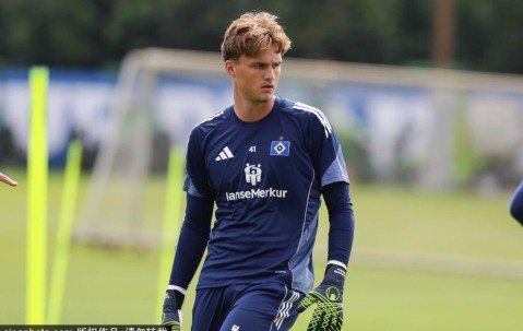 德甲球队汉堡训练备战
        
    德甲球队汉堡训练备战