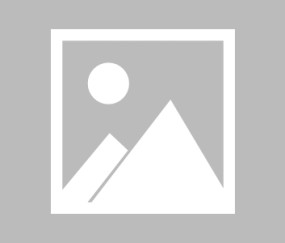 任天堂承认 Switch 2 销售在日本以外地区“略低于预期”